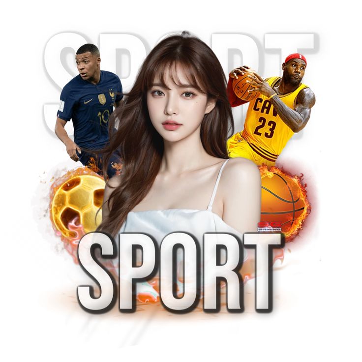 体育手机APP下载登录线路免费版